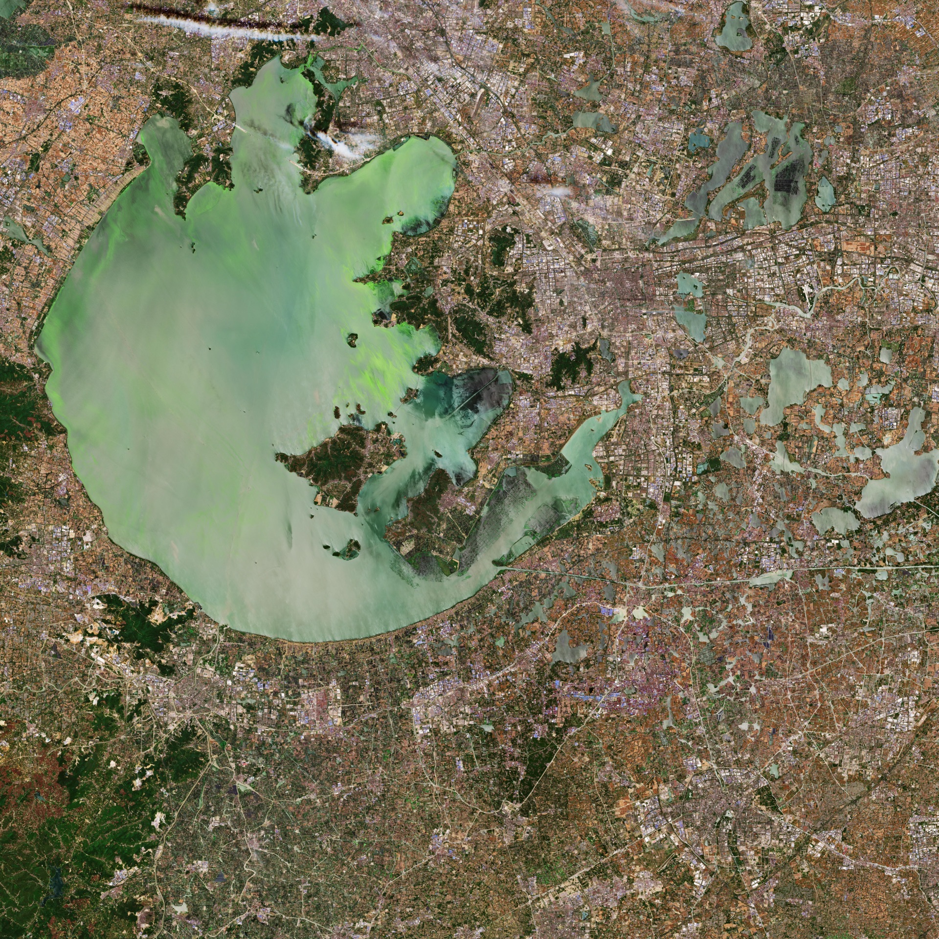 Floraison massive de cyanobactéries sur le lac Taihu vue depuis le satellite Sentinel-2